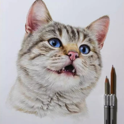 Hand-Painted Pet Portrait Color Pencil Drawing