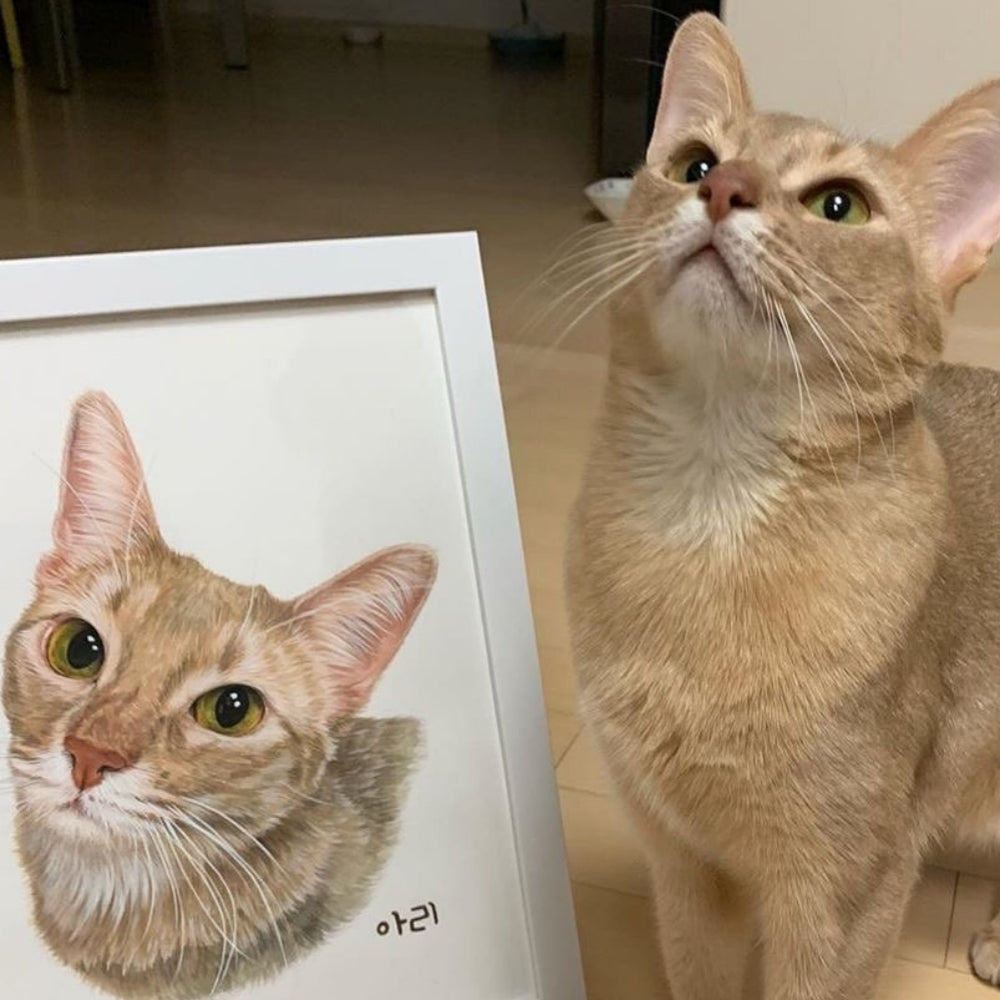 Hand-Painted Pet Portrait Color Pencil Drawing