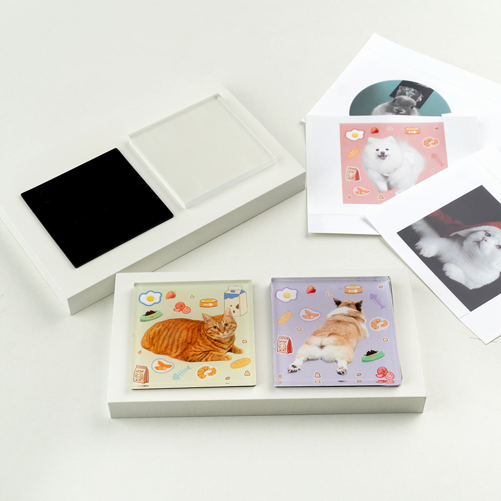 Custom Pet Portrait Fridge Magnet DIY Kit