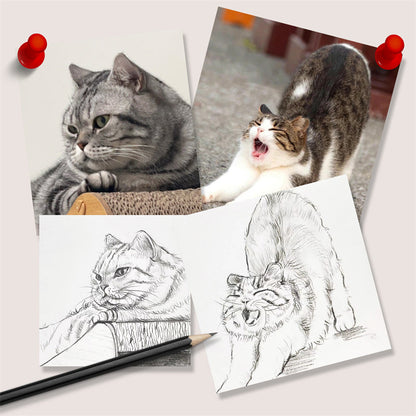 Pet Portrait Pencil Drawing