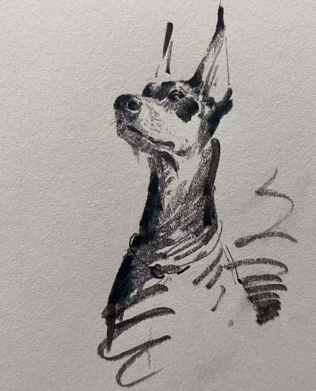 Hand-Painted Pet Portrait Pencil Drawing