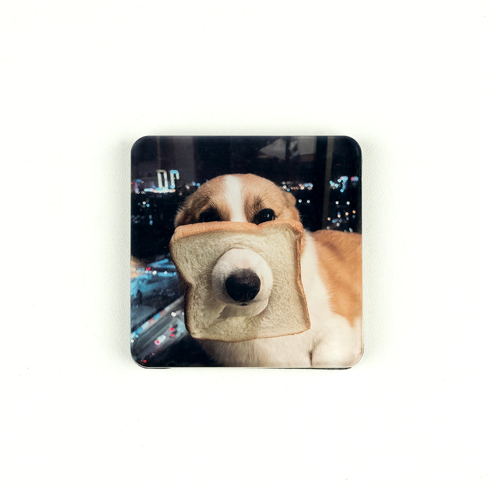 Custom Pet Portrait Fridge Magnet DIY Kit