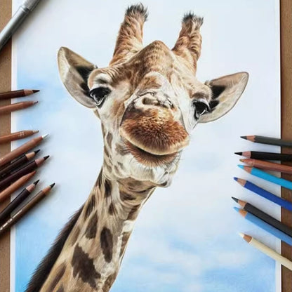 Hand-Painted Pet Portrait Color Pencil Drawing