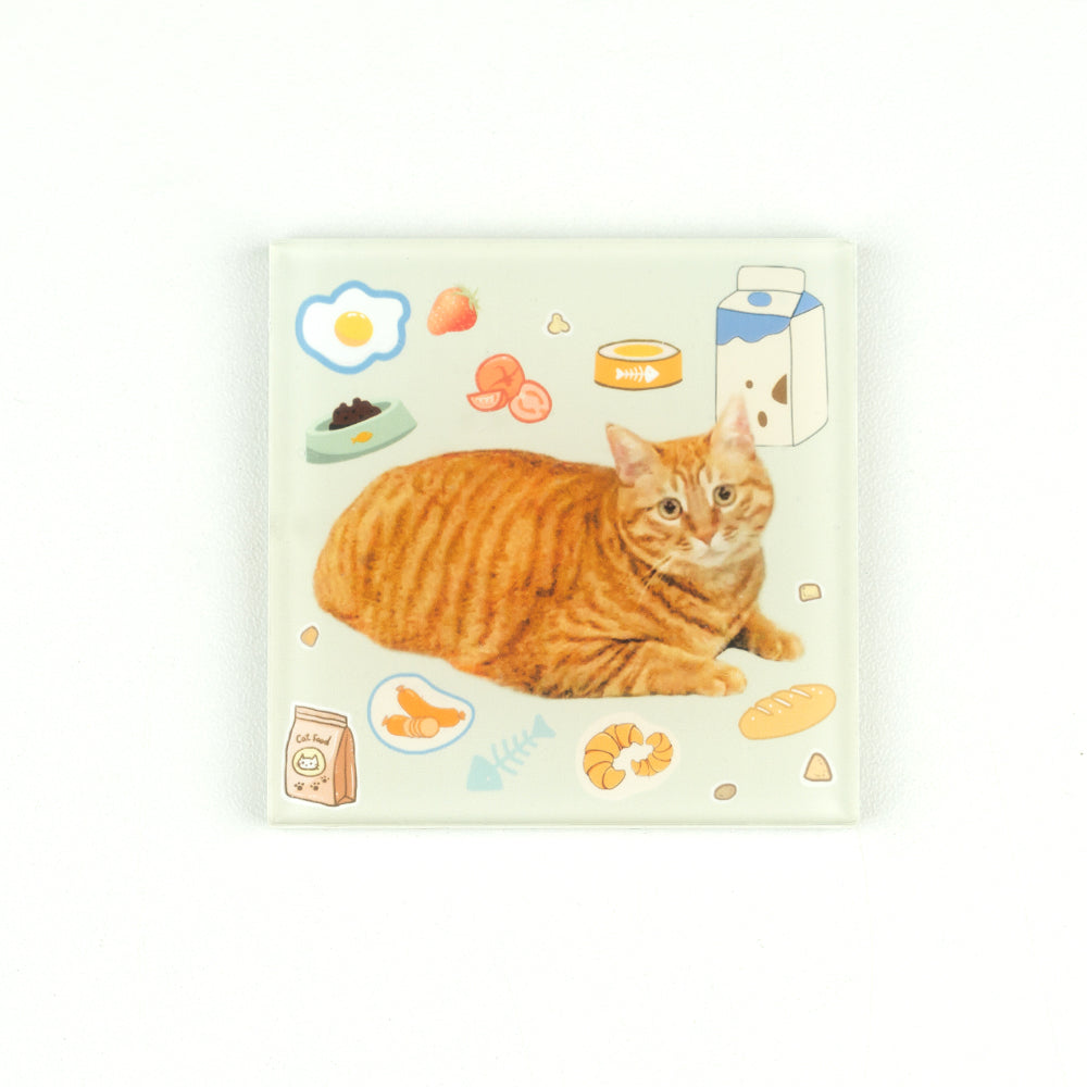 Custom Pet Portrait Fridge Magnet DIY Kit