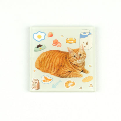 Custom Pet Portrait Fridge Magnet DIY Kit