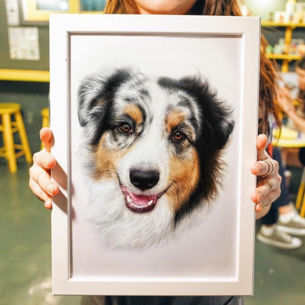 Hand-Painted Pet Portrait Color Pencil Drawing