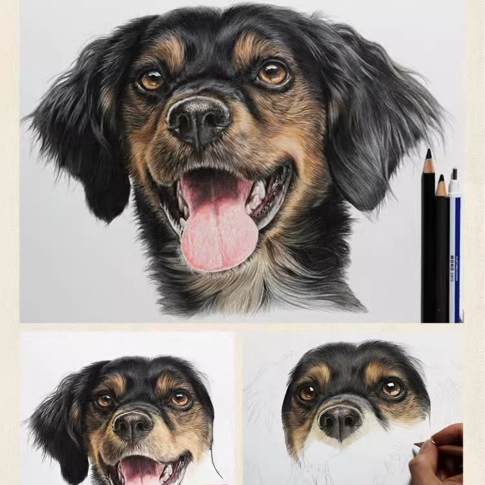 Hand-Painted Pet Portrait Color Pencil Drawing