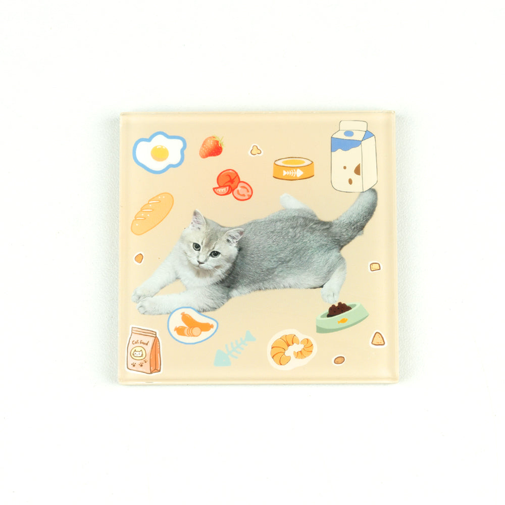 Custom Pet Portrait Fridge Magnet DIY Kit