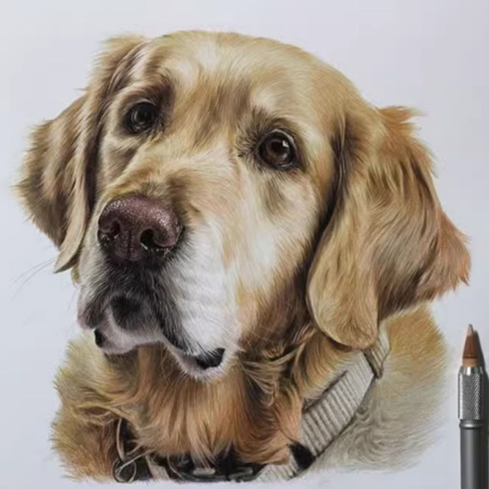 Hand-Painted Pet Portrait Color Pencil Drawing