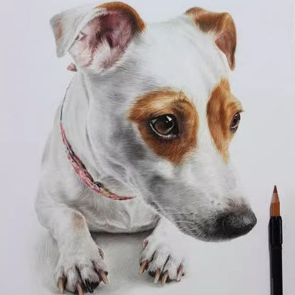 Hand-Painted Pet Portrait Color Pencil Drawing