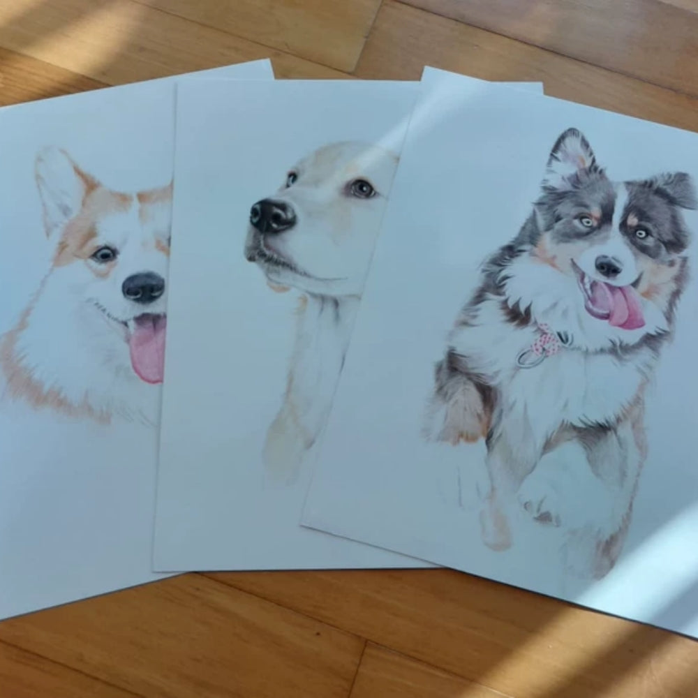 Hand-Painted Pet Portrait Color Pencil Drawing