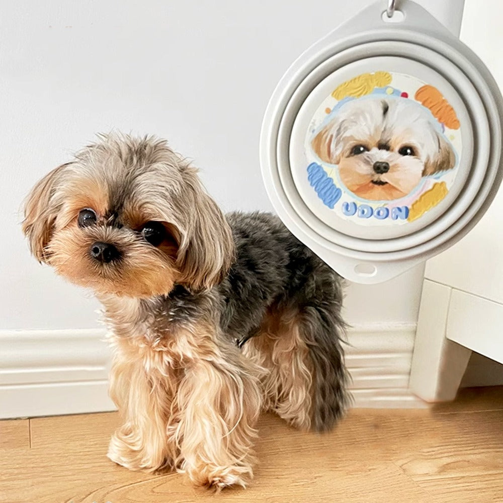 Custom Pet Portrait Foldable Bowl