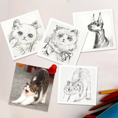 Pet Portrait Pencil Drawing