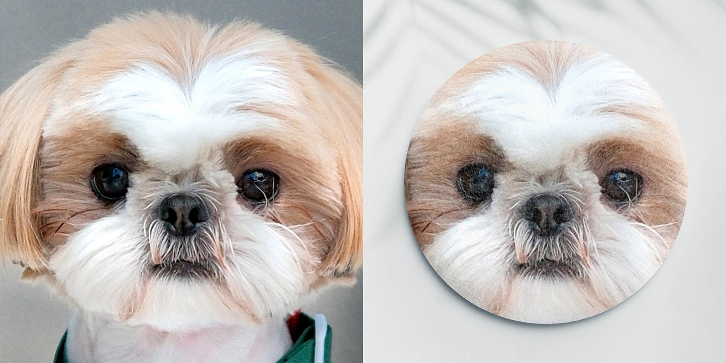 Custom Pet Portrait Plush Pin