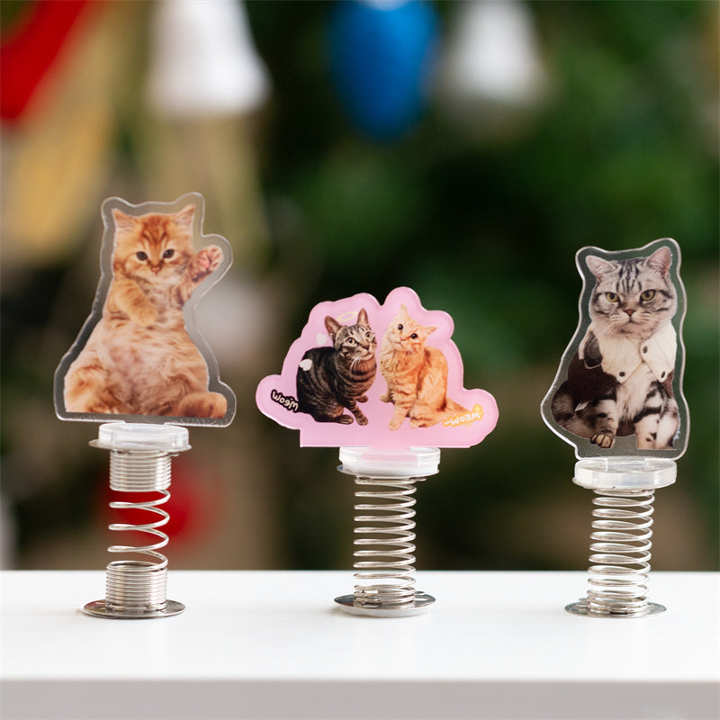 Custom Shaker Acrylic Stand Ornaments