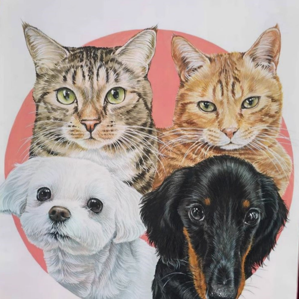 Hand-Painted Pet Portrait Color Pencil Drawing